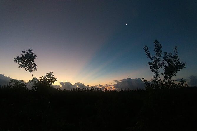 Tour Herpetologico - Final Thoughts