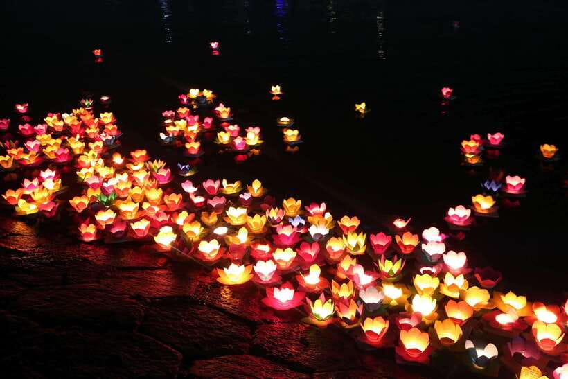 Tour Hoi an Ancient Town - Flower Lanterns - Coconut Forest - Booking and Cancellation Policies