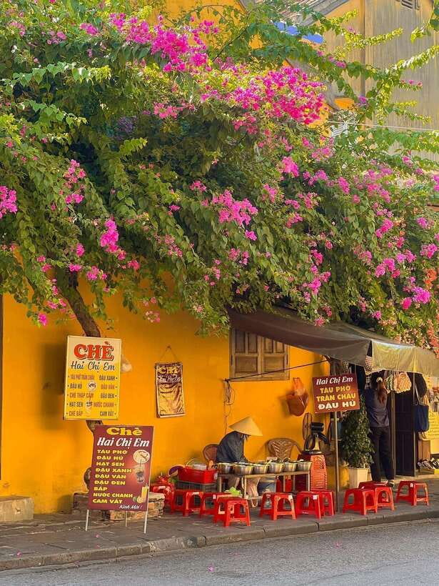 Tour Hoi an Ancient Town - Flower Lanterns - Coconut Forest - Frequently Asked Questions