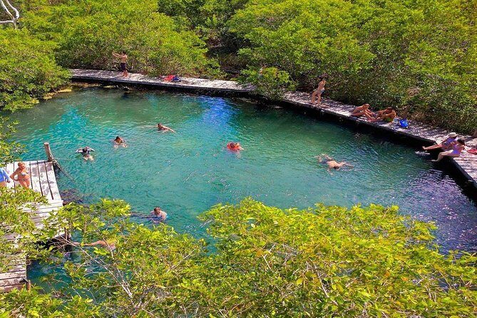 Tour Holbox at Pasion Island & Cenote Yalahau from Cancún - Who Should Consider This Tour?