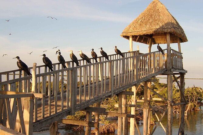 Tour Holbox at Pasion Island & Cenote Yalahau from Cancún - FAQs about the Tour
