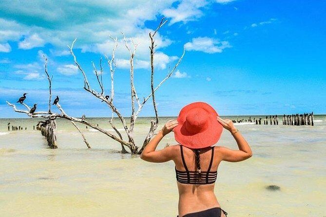 Tour Holbox Plus from Riviera Maya - What Past Travelers Say