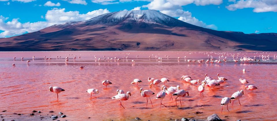 |Tour + Hotel Cusco,Moray, Machu Picchu - Bolivia 13 Days || - Frequently Asked Questions