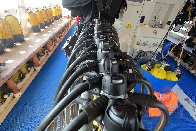 Tour in Alanya with Lunch and Guided Scuba Dives from Side - Introduction: A Fun and Accessible Underwater Adventure in Alanya