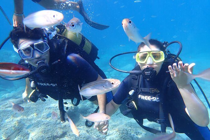 Tour in Alanya with Lunch and Guided Scuba Dives from Side - The Overall Experience: Combining Comfort, Adventure, and Scenic Beauty