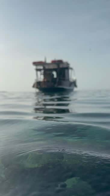 tour in barca con sosta bagno nelle acque di scilla - The Experience: What You Can Expect