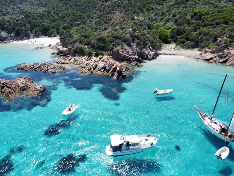 Tour in barca dell'Arcipelago di La Maddalena con pranzo - Who Is This Tour Best For?
