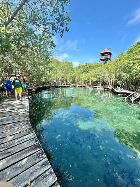 Tour in Italian in Holbox - Who Is This Tour Perfect For?