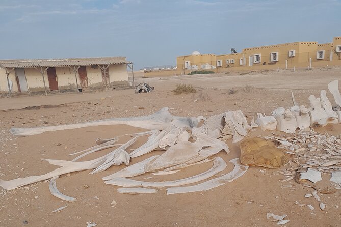 Tour in Mauritania - Cancellation Policy and Pricing
