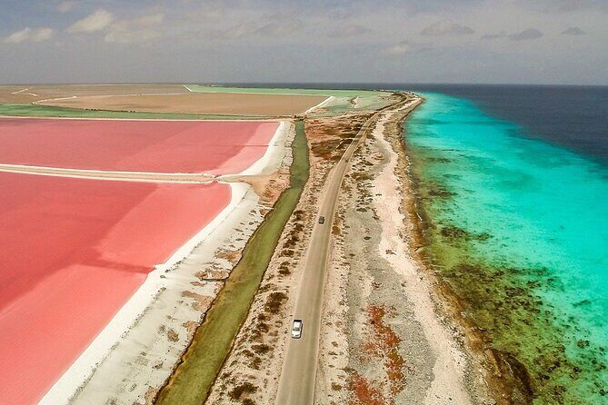 Tour in North and South Bonaire Guided - Booking and Port Convenience