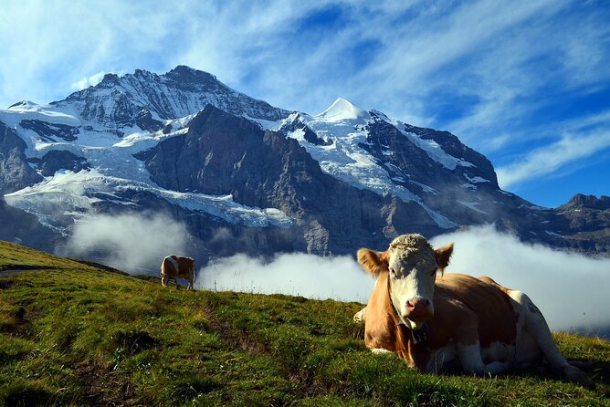 Tour in Wengen - Key Points
