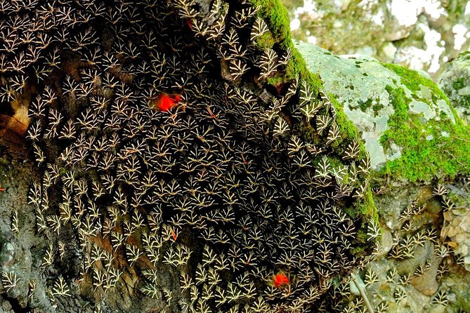 Tour & Learn - Customer Support