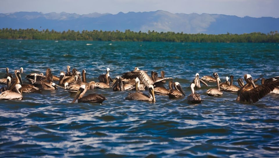 Tour Los Haitises, Montaña Redonda and Yanigua Waterfall - Unique Karst Formations Revealed