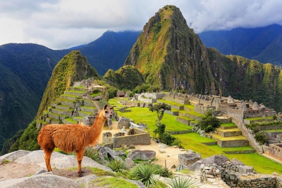 Tour Machu Picchu 2D 1N+Train, Hotel Breakfast, Ticket and Guide - Additional Activities