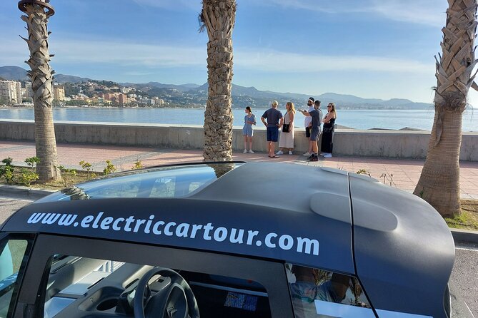 Tour Málaga by Electric Car: Discover the City in 2 Hours - Accessibility and Participation