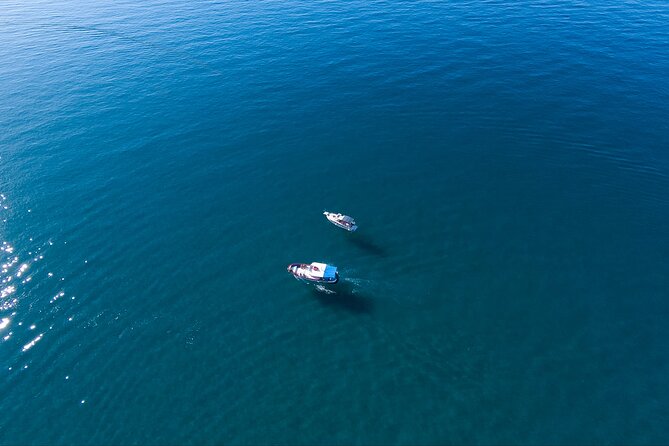 Tour - Mini Cruise at the Blue Grotto - Arrival and Departure Requirements