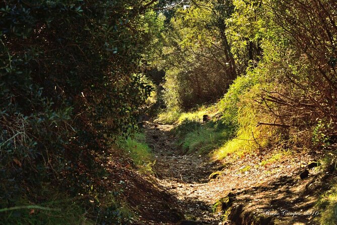 Tour Monte Nuovo and Lake Averno - Tour Inclusions