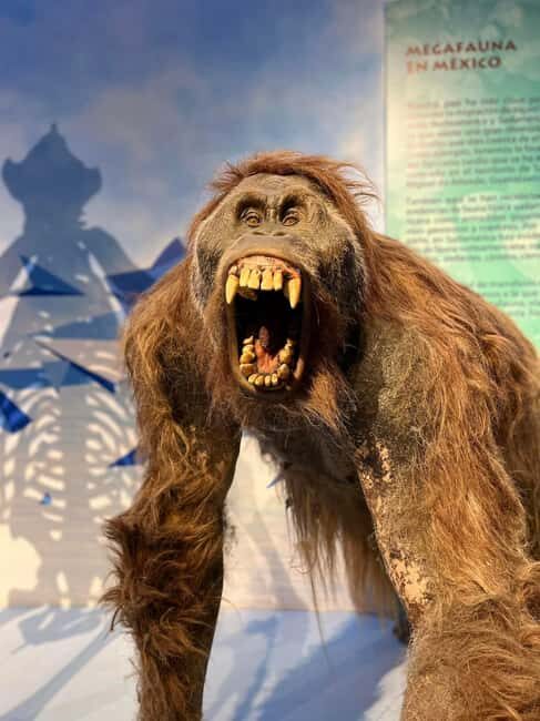 TOUR "Museo del Desierto" + Traslados + Tickets incluidos - Who Would Enjoy This Tour Most?