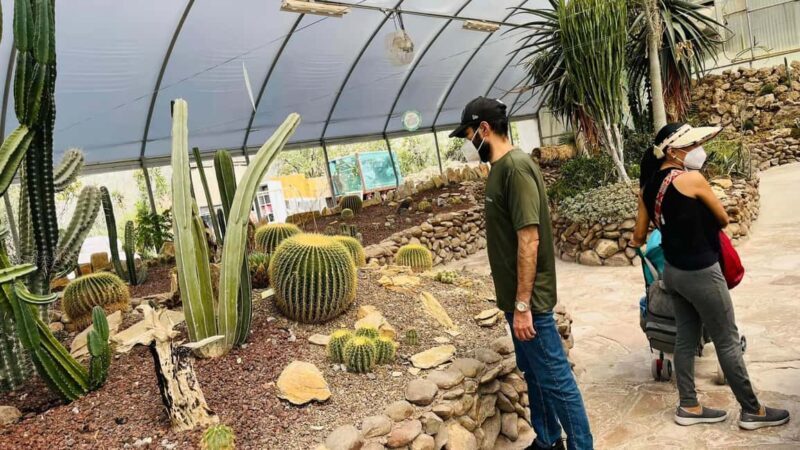 TOUR "Museo del Desierto" + Traslados + Tickets incluidos - FAQ