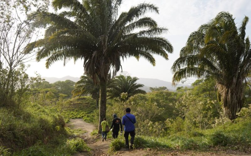 Tour of 2 Days Explore the New Lost City Ctg-Sta Marta - Key Points