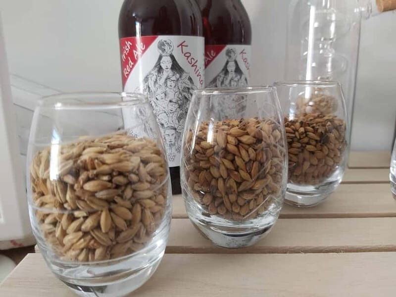 Tour of a craft brewery with tasting - Key Points