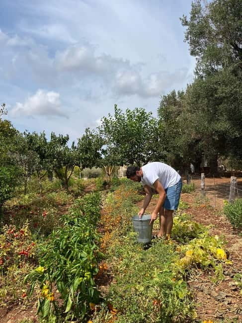 Tour of Apulian farms and local producers - Why This Tour Offers Great Value