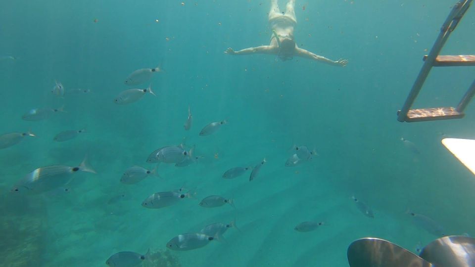 Tour of Avola to Portopalo With a Stop and Visit to Marzamemi - Vendicari Nature Reserve