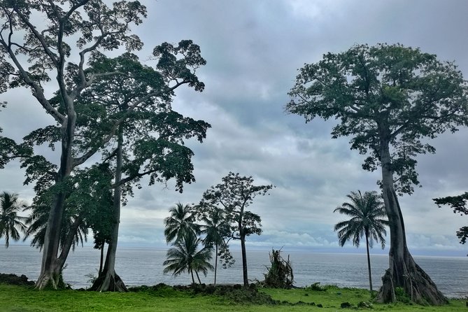 Tour of Bioko Island - Customer Reviews and Ratings
