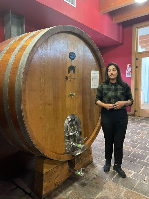 Tour of Cilento: a Journey Through History and Archaeology - Buffalo Mozzarella Production Process