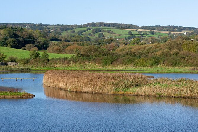 Tour of East Devon-Seaton Tram, Ladram Bay, Beer Village and More - Accessibility