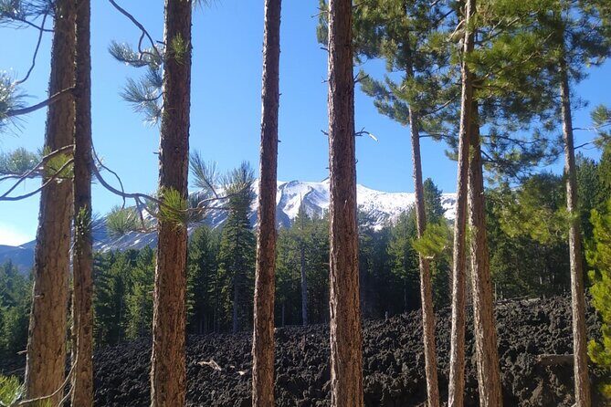 Tour of Etna on foot, food and wine tasting in the Etna winery - The Wine and Food Experience: Savoring Sicily’s Organic Flavors