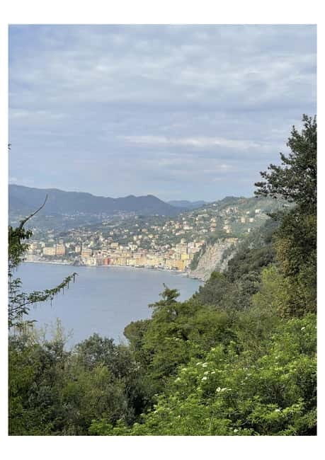 Tour of Genoa and the Ligurian Riviera: From Genoa to Portofino - Who This Tour Is Best For