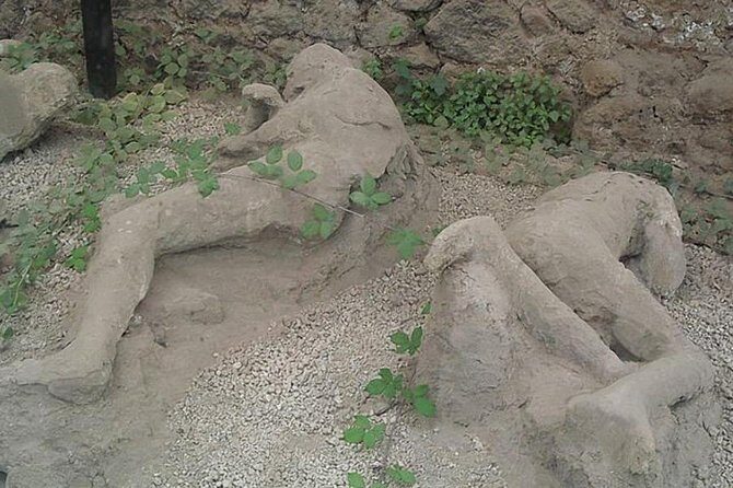 Tour of Herculaneum+Sorrento+Pompeii (Full Day) - Final Thoughts: Are You Ready for a Memorable Day in Italy?