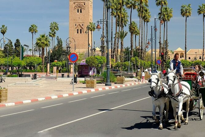 Tour of Marrakech-Medina, Souks, Secret Gardens, Sights & Stories - Traveler Experiences and Feedback