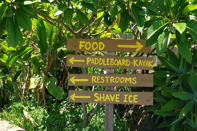 Tour of North Shore & Waimea Waterfall - Visitor Experience