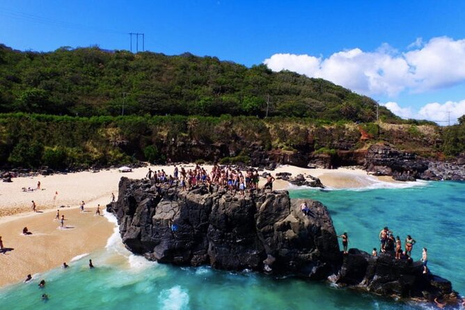 Tour of North Shore & Waimea Waterfall - Additional Information