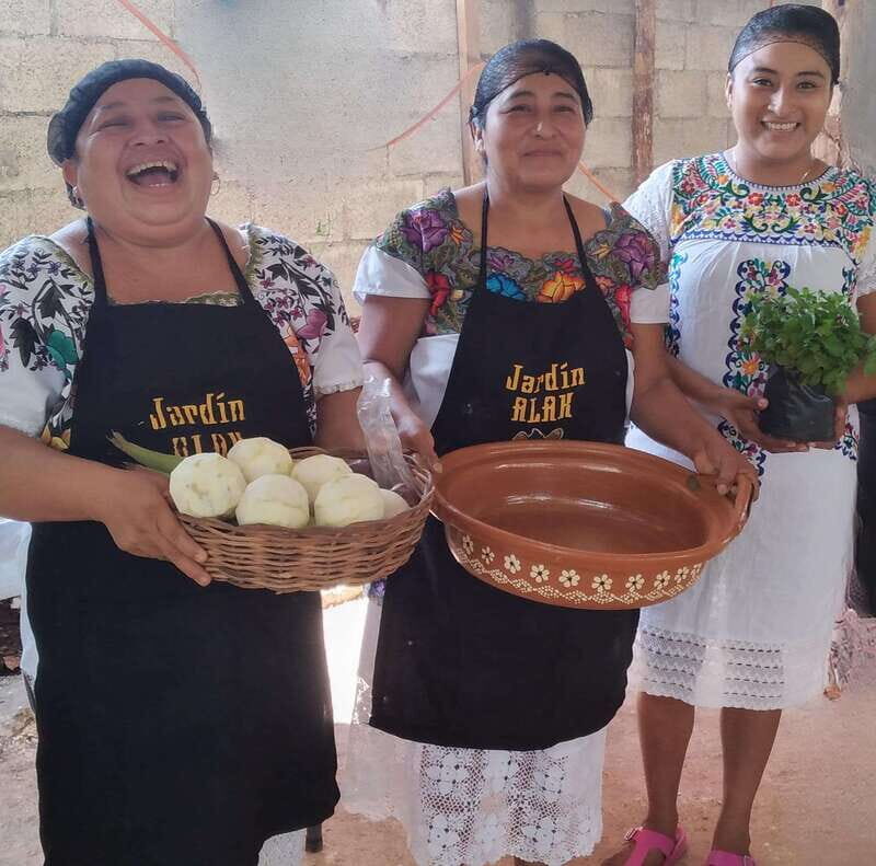 TOUR OF THE 4 BACABES : EXPERIENCE WITH MELIPONA BEES - The Experiences Strengths and Considerations