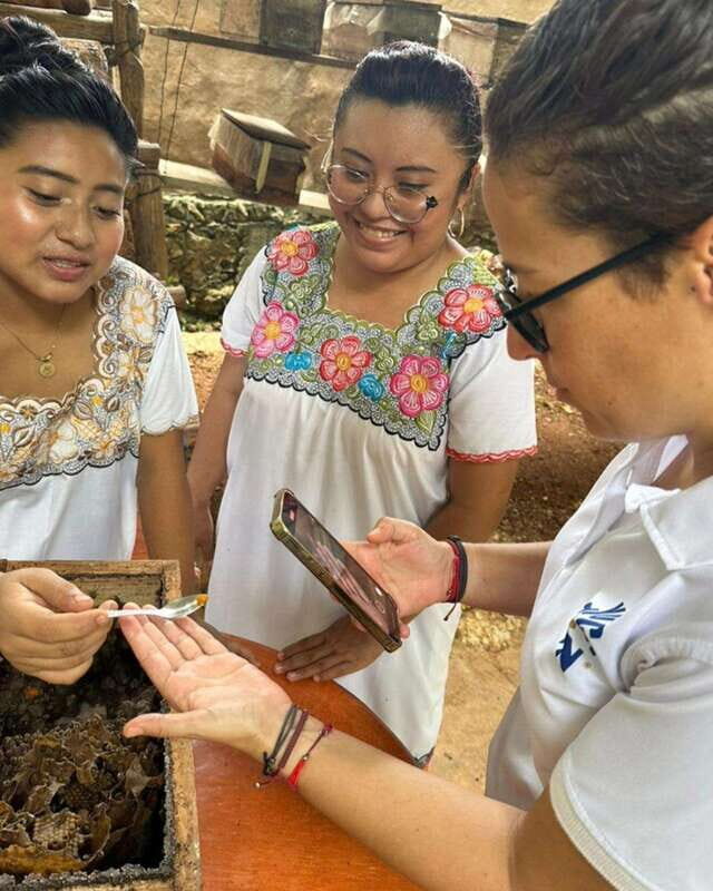 TOUR OF THE 4 BACABES : EXPERIENCE WITH MELIPONA BEES - Who Should Consider This Tour?