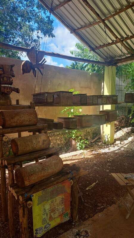 TOUR OF THE 4 BACABES : EXPERIENCE WITH MELIPONA BEES - The Sum Up