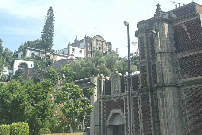 Tour of the Basilica of Guadalupe - Practical Details: What You Need to Know