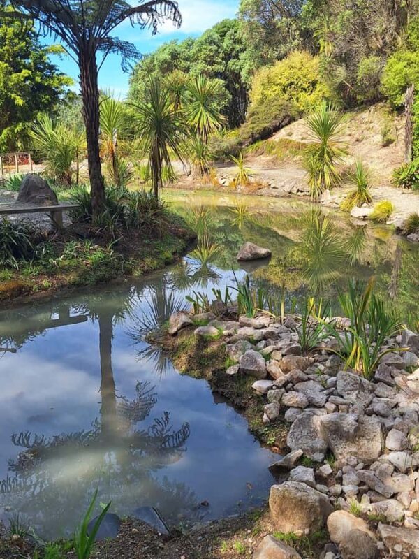 Tour of the Bay, Te Puna Sculpture Park and Historic Village - A Closer Look at the Experience