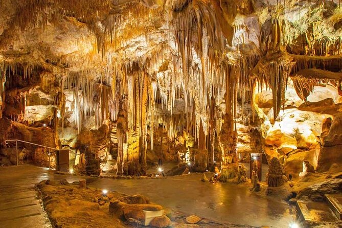 Tour of the Caves Between Land and Sea Castellana and Polignano - Key Points