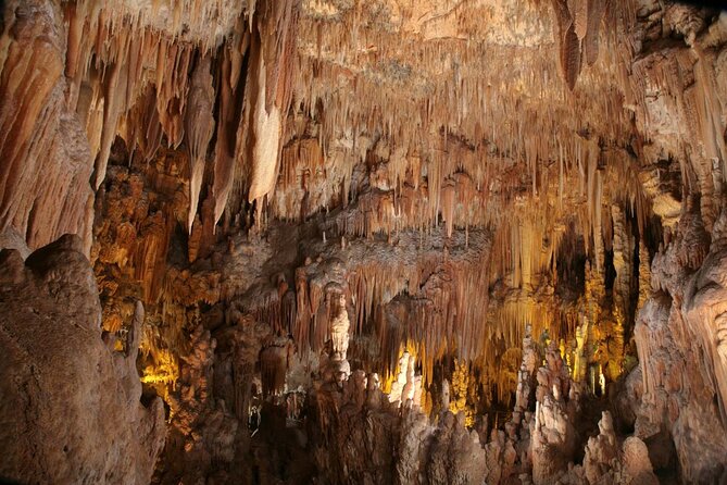 Tour of the Caves Between Land and Sea Castellana and Polignano - Location and Meeting Details