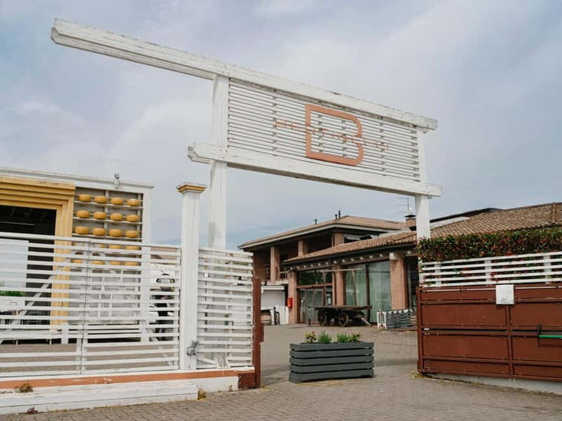 Tour of the dairy and warehouse + lunch with experience menu - A Tasty Peek into Emilia-Romagna’s Parmesan Heritage