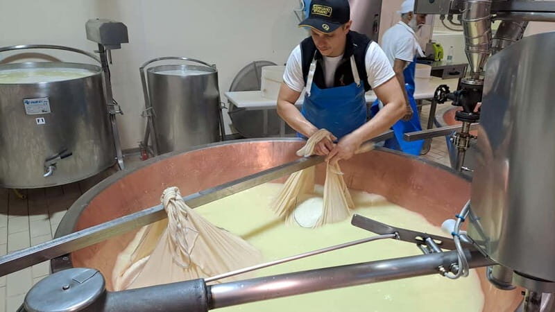 Tour of the dairy and warehouse + lunch with experience menu - Final Thoughts: Who Will Love This Tour?