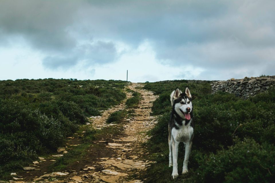 Tour of the Furnace Self-Guided Walking - Trekking Safety Tips