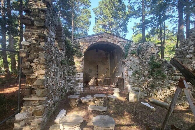 Tour of the Historical Museum and Miramare Castle Park in Trieste - Introduction