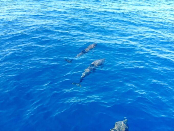 Tour of the Islands of the Archipelago With Lunch and Drinks - Customer Reviews