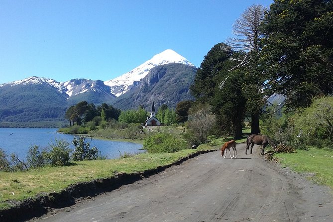 Tour of the Lanin Volcano and Huechulafquen Lake - Good To Know