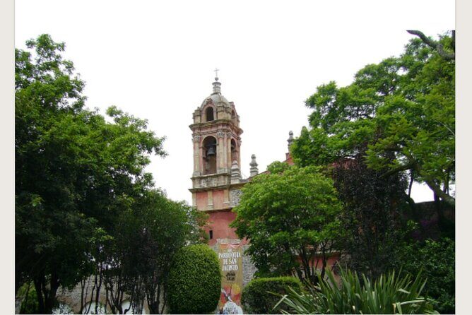 Tour of the picturesque San Angel neighborhood - Discovering San Angel: An Authentic Mexico City Neighborhood